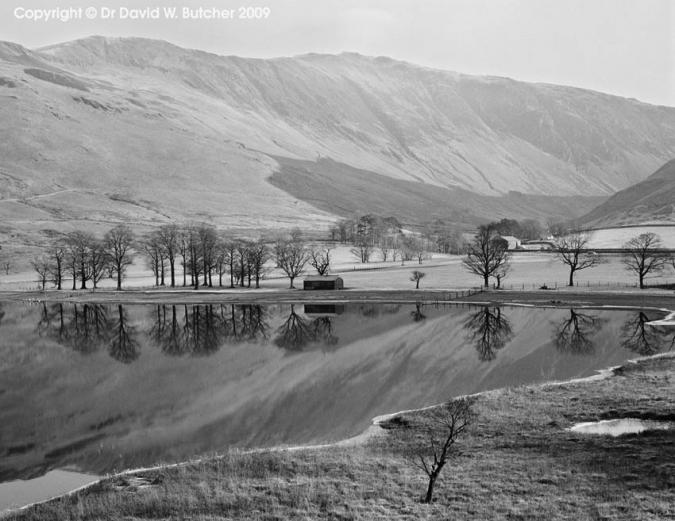 [lakes-buttermere-tree-reflections-191417.jpg]