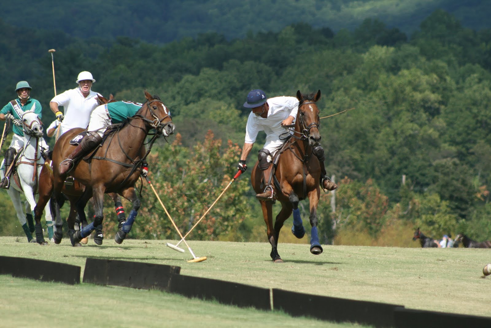The Nest & the Rest Polo at King Family Vineyards