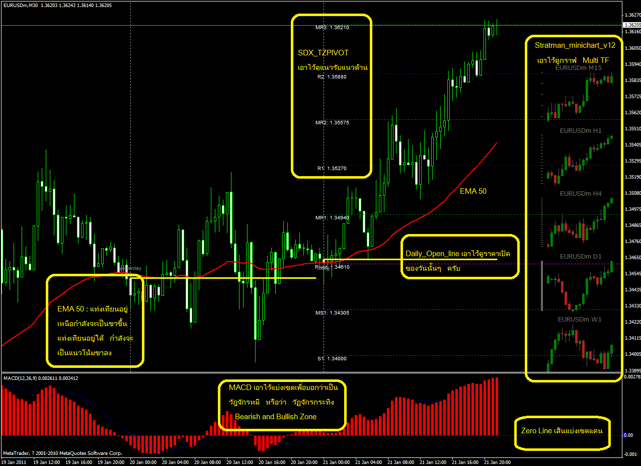 Thaiforexschool index