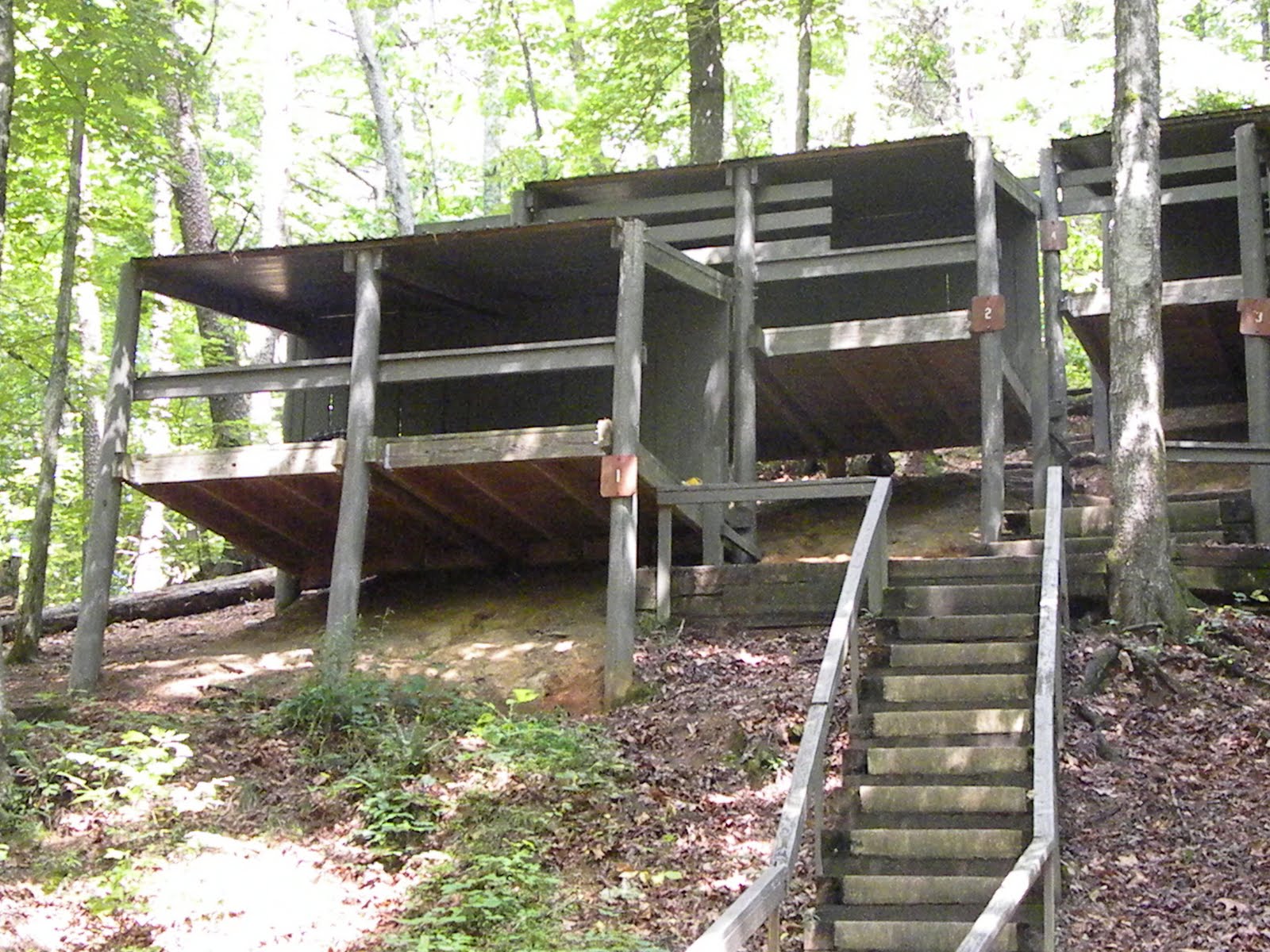 City Girl finding her CREATIVE side Squirrels Nest