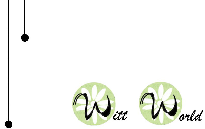 The Witt World