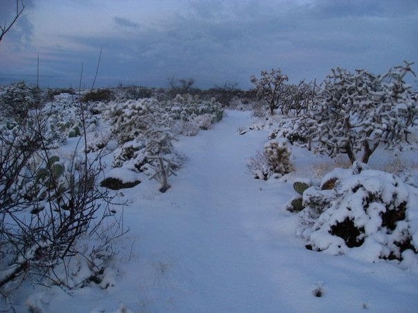 [Tucson!.php]