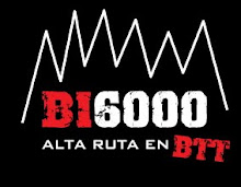 Bi6000