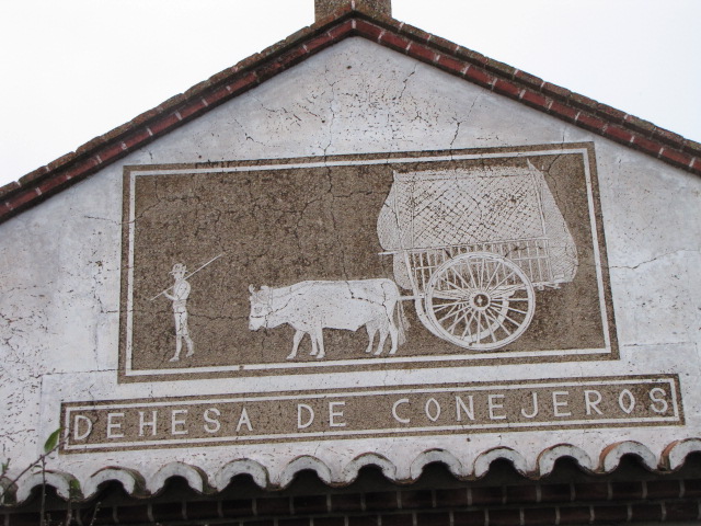 Cáceres al natural: Janeiro 2011