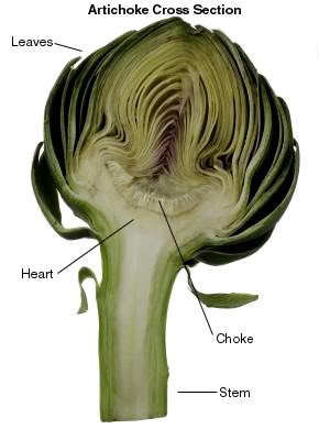 how to eat a out diagram how to eat a out diagram how to eat a out diagram how to eat a out diagram