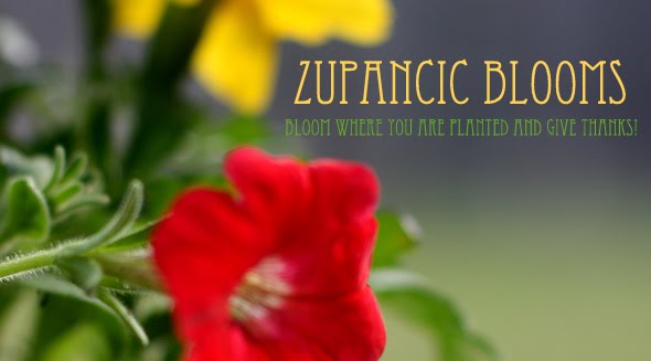 zupancic blooms