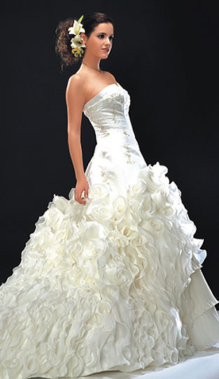 Wedding Dresses Wedding Dresses