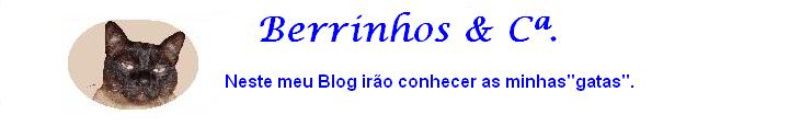 Berrinhos e Companhia