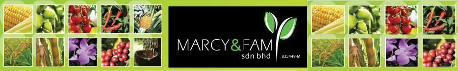 MARCY & FAM Sdn Bhd