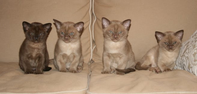 [m-kull20100306-3.JPG]