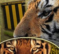 My Photo
