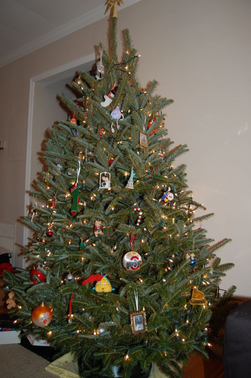 [finished+decorated+tree.JPG]