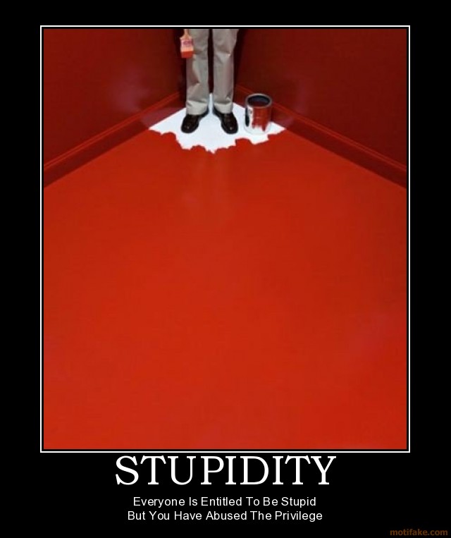 stupidity-stupidity-demotivational-poster-1226826996.jpg