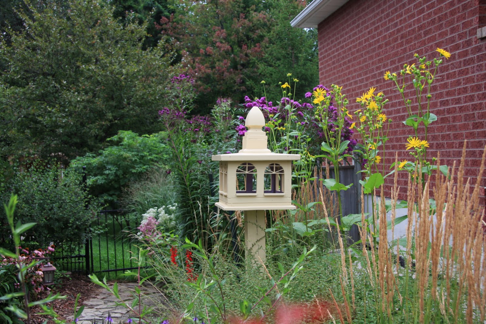Pagoda+dogwood+berries