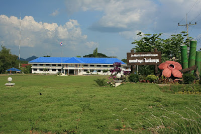 District office Phanom, Surat Thani