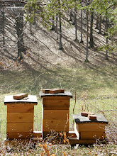 Včelařský kroužek včelaří na včelnici Rodinného včelařství Urban