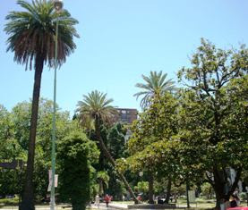 25 PLAZA LAVALLE GENEROSA VEGETACIÓN NOS ACERCA A LA NATURALEZA EN PLENA URBE