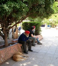 VIEJO Y PERRO (¿EXCLUÍDOS?)