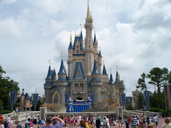 DISNEY WORLD