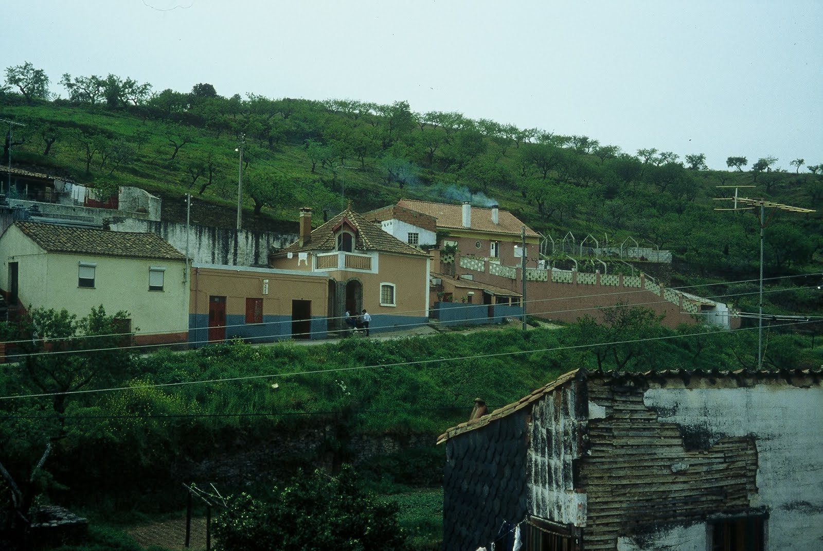 [F10095.JPG]