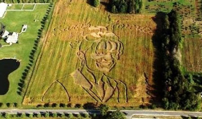 Sarah Palin Corn Maze