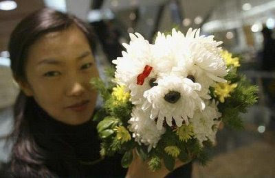 Cute Dogs made from Flowers!