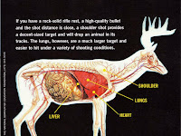 Deer Vitals Diagram Deer Vitals Diagram