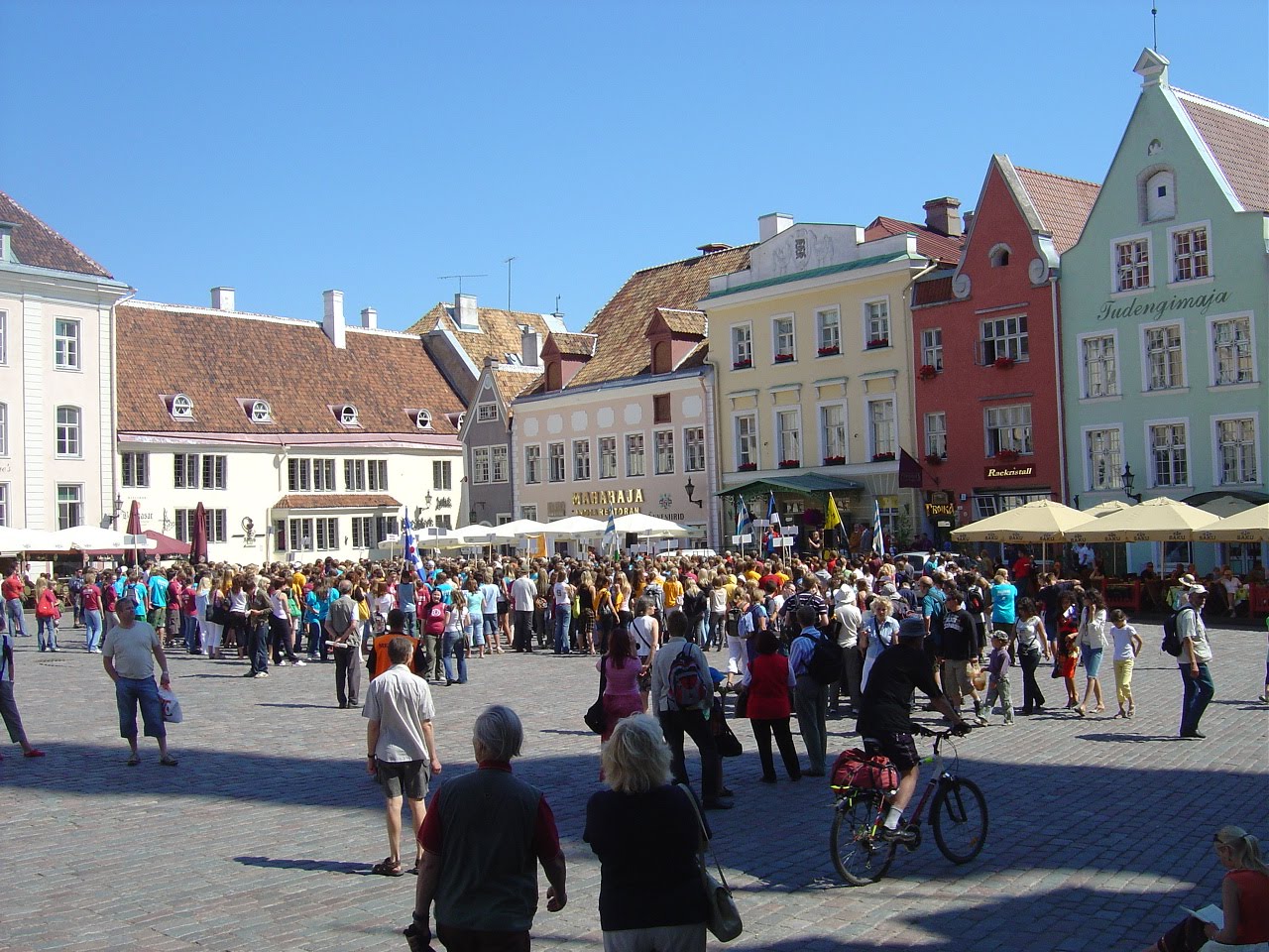 [DSC07818.JPG]