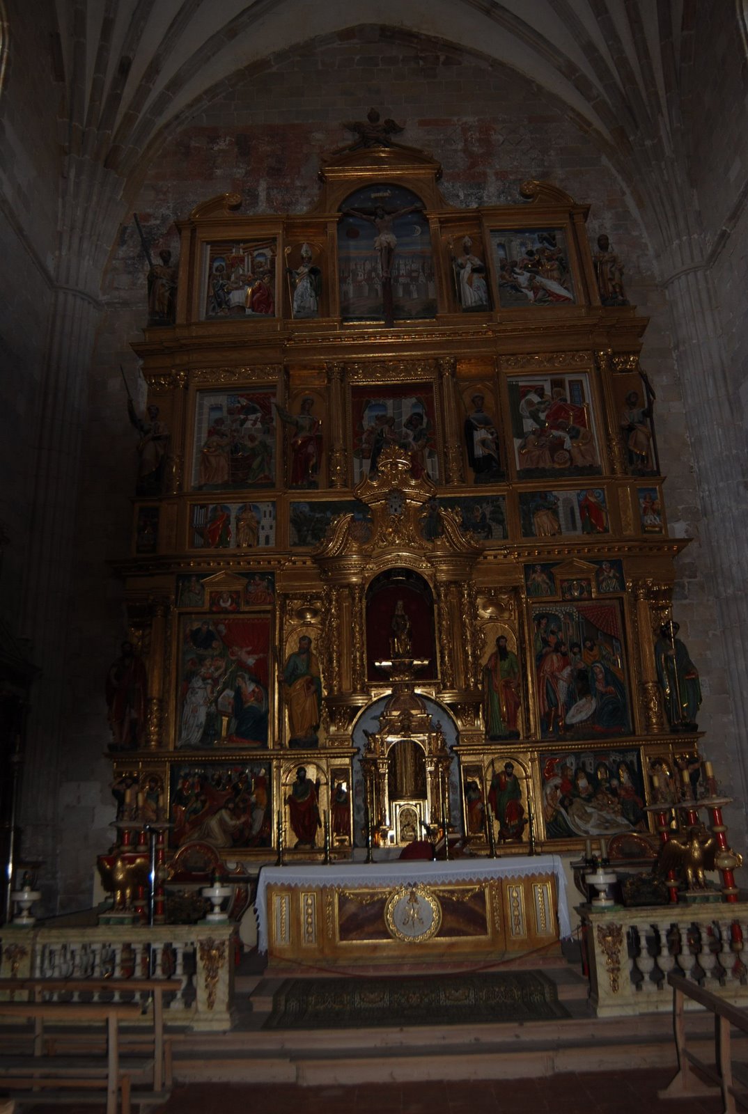 [DSC_1495.JPG]