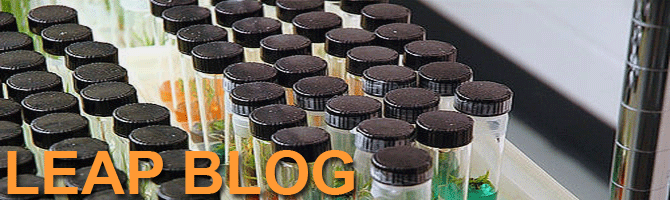 LEAP BLOG