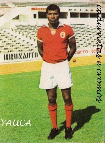 [Yauca.jpg]