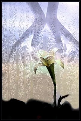 [Sempre[1]....ByAlbaLuna.jpg]