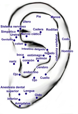 [img_auriculoterapia1.jpg]