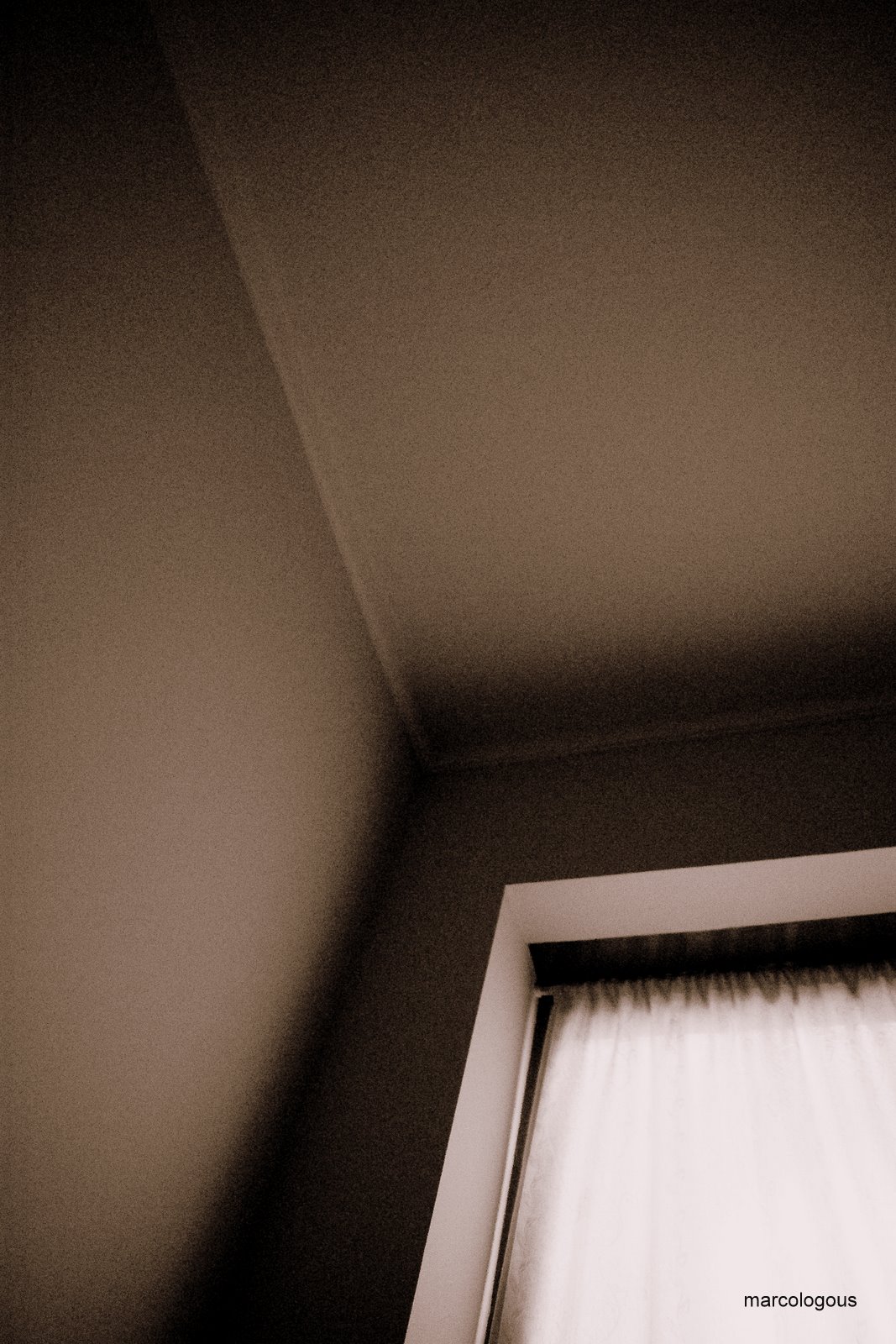[DSC00002.JPG]