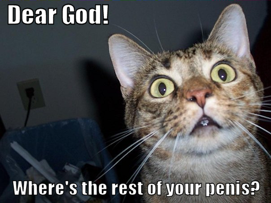 Penis enlargement in the volume of home