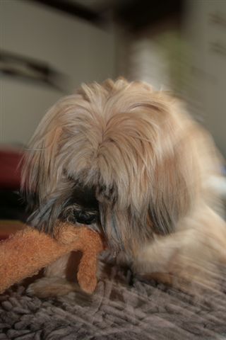 [November+021-783212.jpg]