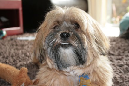 [November+023-783558.jpg]