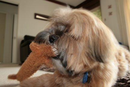 [November+020-782637.jpg]