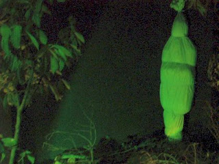 mistik pocong indonesia