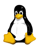 delete linux from computer pc or harddisc