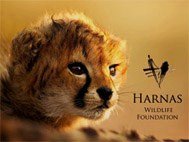 Harnas Wildlife Foundation