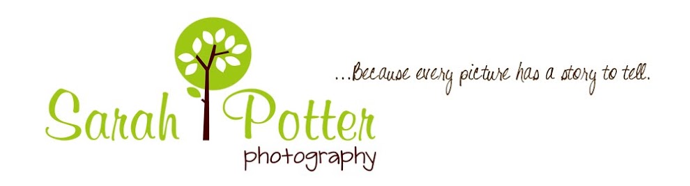 Sarah Potter Photography