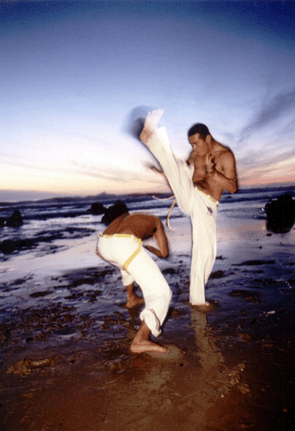 [beach.gif]