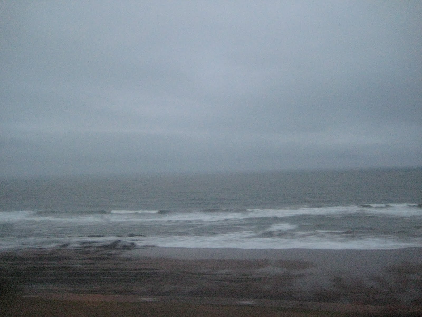 [IMG_1273.JPG]