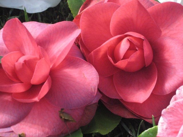 [IMG_5213.JPG]