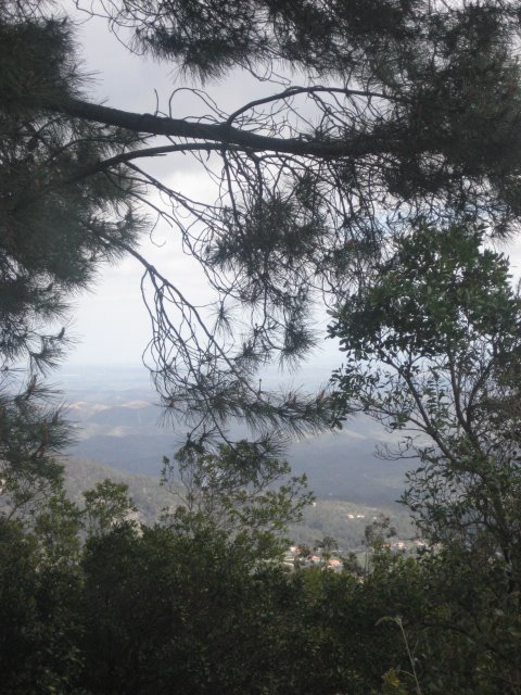 [IMG_5451.JPG]