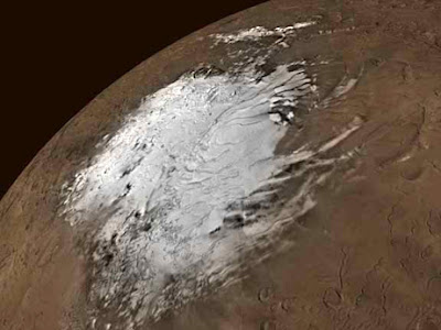 Mars south polar icecap