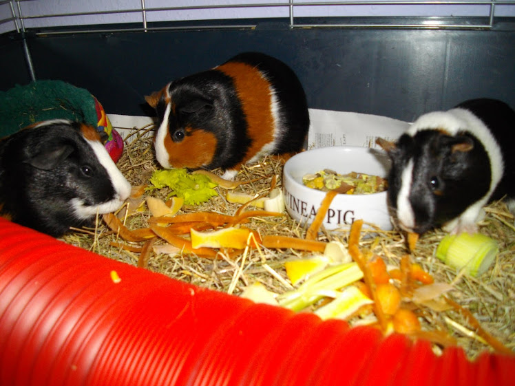 Marigold, Sweetpea and Beatrix