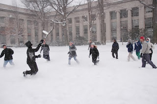 snowltimate