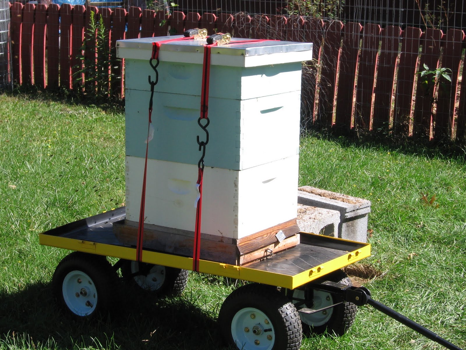 Backyard Swammerdam Moving Bees and Chickens